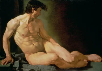 Nu masculin